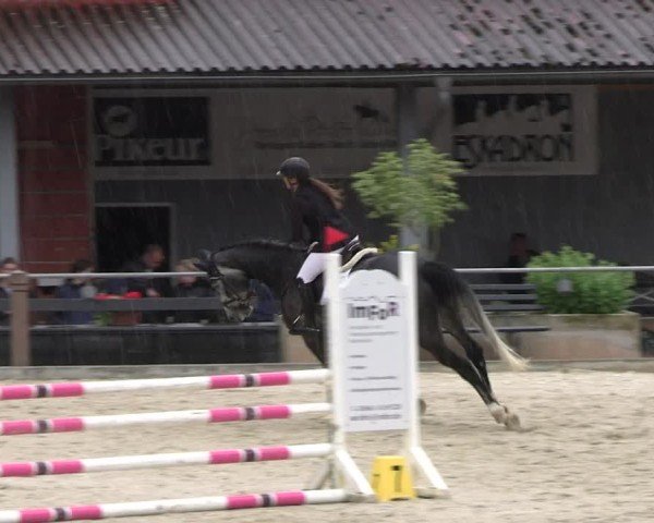 Reitturnier Uder, Reitanlage Kobold 2025