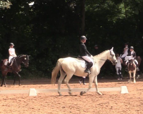 Reitturnier Schwittersdorf-Beesenstedt 2025