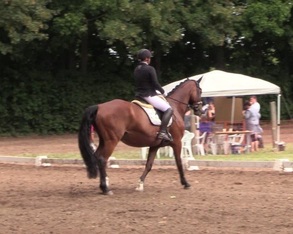 Reitturnier Schwittersdorf-Beesenstedt 2025
