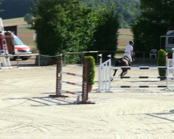 Reitturnier Großbardorf/Ufr. 2025
