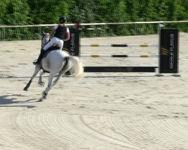 Reitturnier Großbardorf/Ufr. 2025