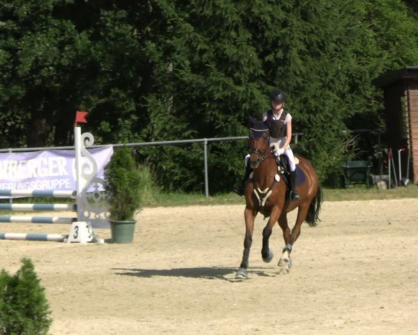 Reitturnier Bad Liebenstein/Sorga 2025