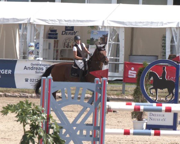 Reitturnier Langenfeld 2025