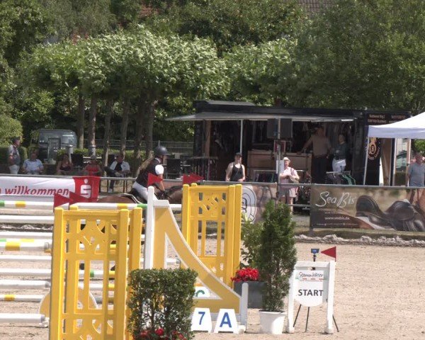 Reitturnier Langenfeld 2025