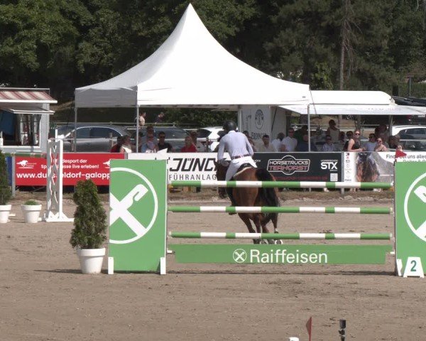 Reitturnier Langenfeld 2025