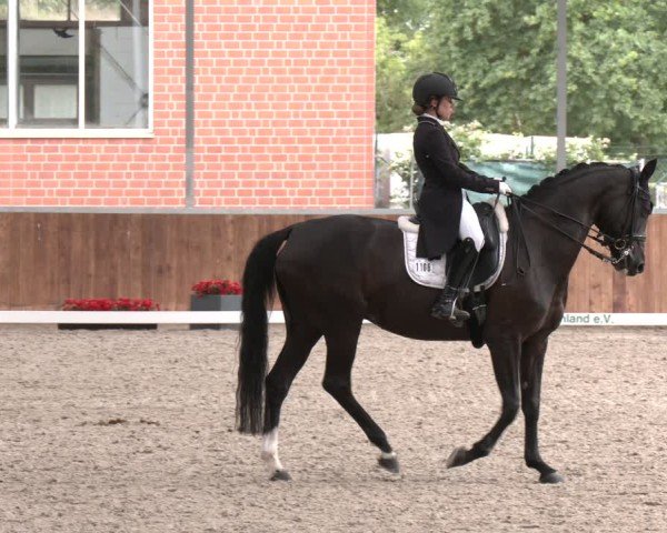 Reitturnier Langenfeld 2025
