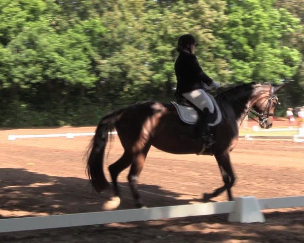 Reitturnier Schwittersdorf-Beesenstedt 2025