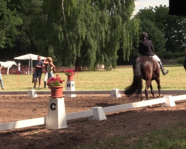 Reitturnier Schwittersdorf-Beesenstedt 2025