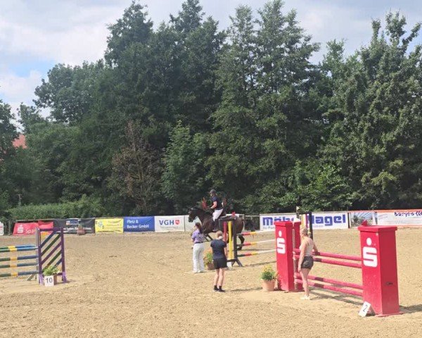 Reitturnier Lamspringe 2025