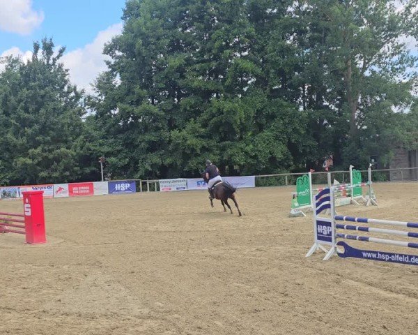 Reitturnier Lamspringe 2025