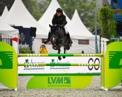 jumper Diamond Pur U Z (Zangersheide riding horse, 2018, from Diamant de Semilly)