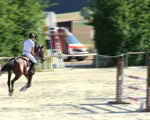 Reitturnier Großbardorf/Ufr. 2025