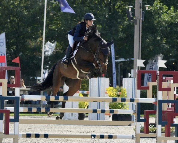jumper Elettra (Holsteiner, 2019, from VDL Bubalu)