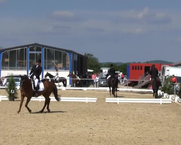 Großes Reit- und Springturnier Bühren-Breckerfeld 2014