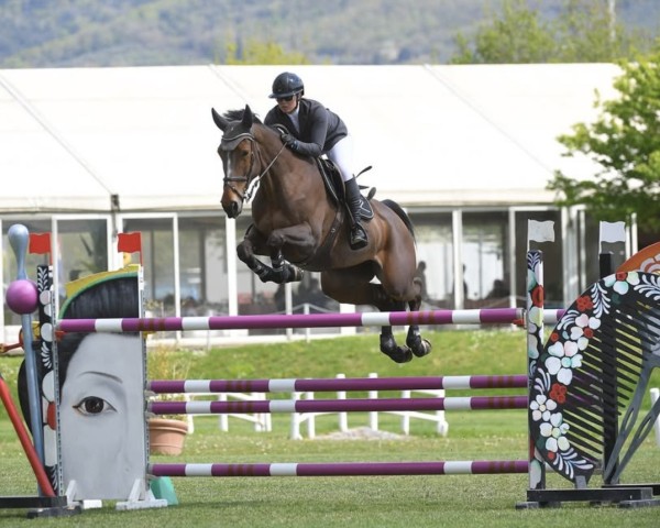 jumper Hope de Bethune (Selle Français, 2017, from Bandro Boy de Bethune)