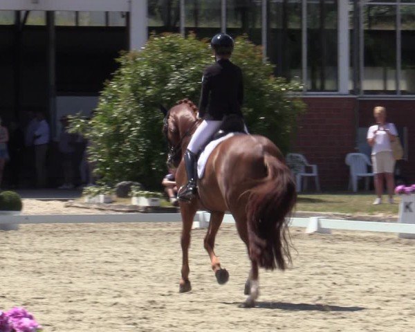 Reitturnier Langenfeld 2025