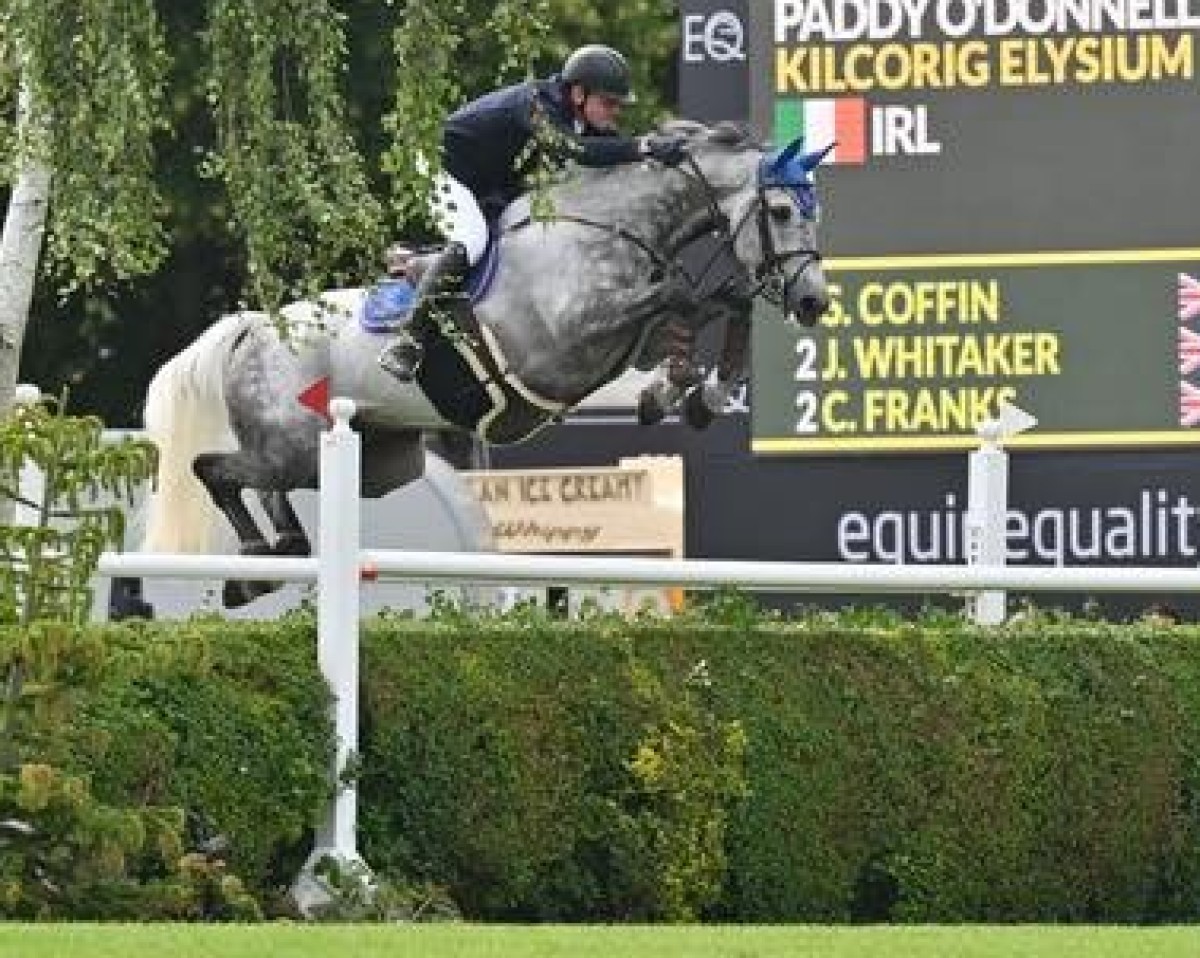 jumper Kilcorig Elysium (Irish Sport Horse, 2015, from Cornet Obolensky)