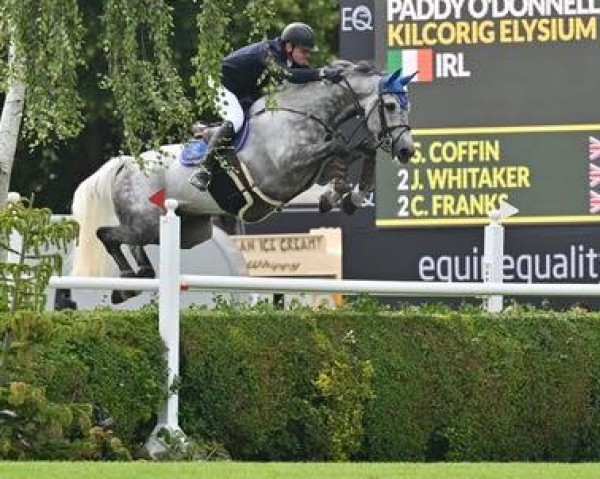 jumper Kilcorig Elysium (Irish Sport Horse, 2015, from Cornet Obolensky)