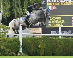 jumper Kilcorig Elysium (Irish Sport Horse, 2015, from Cornet Obolensky)