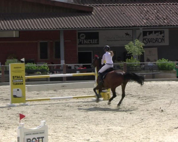Reitturnier Uder, Reitanlage Kobold 2025