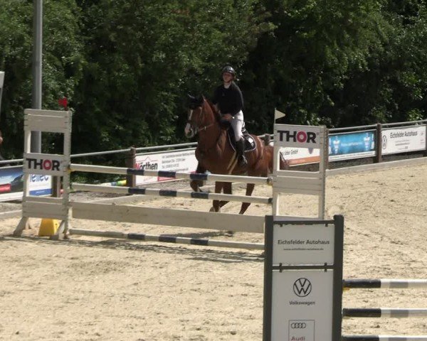Reitturnier Uder, Reitanlage Kobold 2025