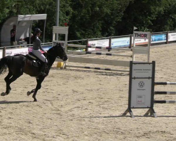 Reitturnier Uder, Reitanlage Kobold 2025