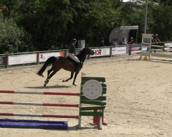 Reitturnier Uder, Reitanlage Kobold 2025