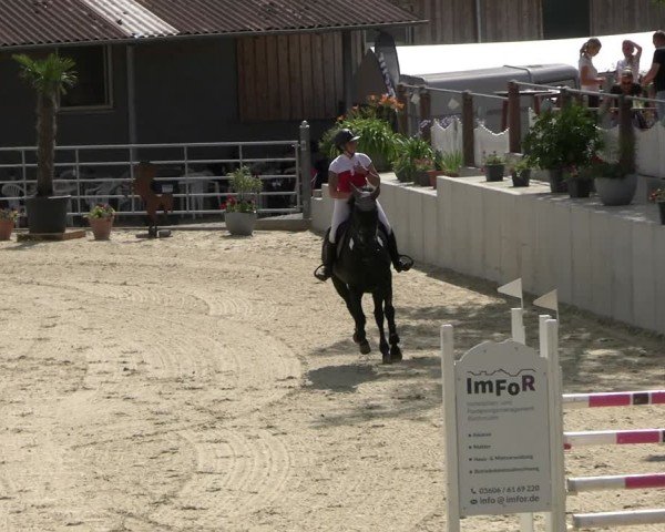 Reitturnier Uder, Reitanlage Kobold 2025
