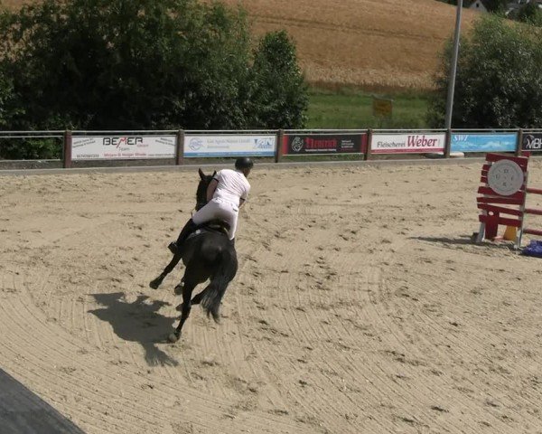 Reitturnier Uder, Reitanlage Kobold 2025