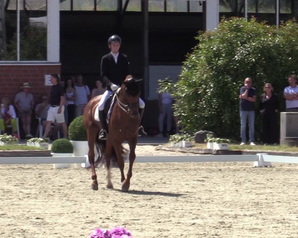 Reitturnier Langenfeld 2025