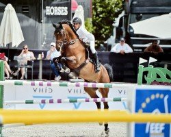 jumper Amelie (Westphalian, 2015, from A La Carte NRW)
