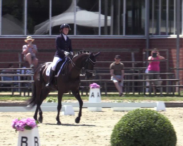 Reitturnier Langenfeld 2025