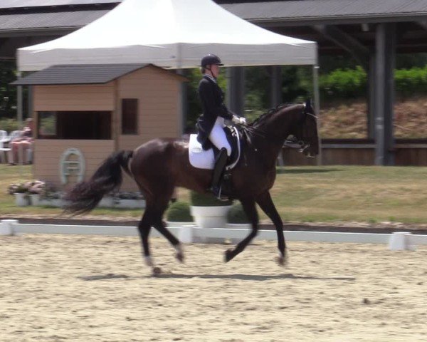 Reitturnier Langenfeld 2025