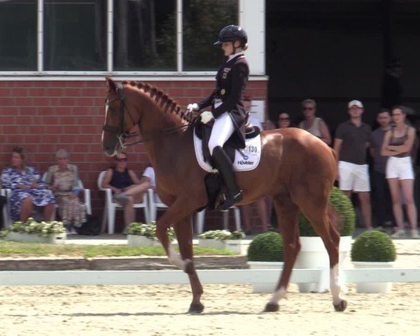 Reitturnier Langenfeld 2025