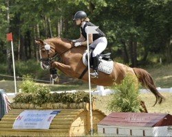 dressage horse Gwyn Juliette (German Riding Pony, 2011, from Acado)