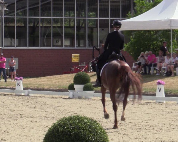 Reitturnier Langenfeld 2025