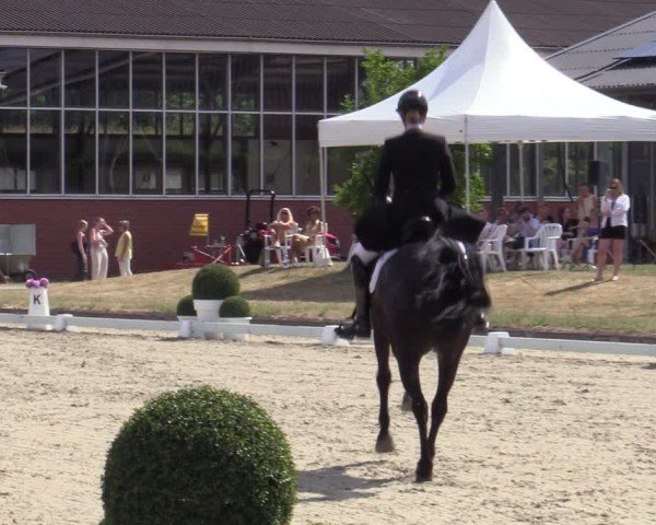 Reitturnier Langenfeld 2025