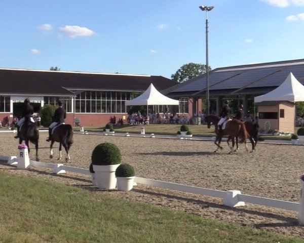 Reitturnier Langenfeld 2025