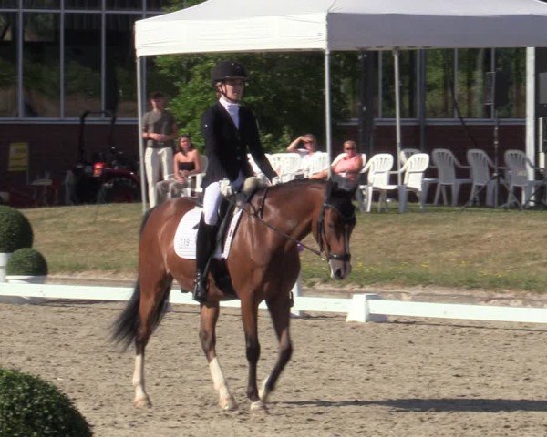 Reitturnier Langenfeld 2025