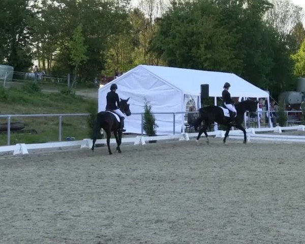 Großes Reit- und Springturnier Bühren-Breckerfeld 2014