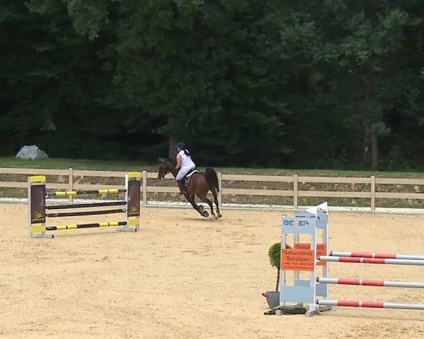Reitturnier Tiefenhof/Opf. 2025