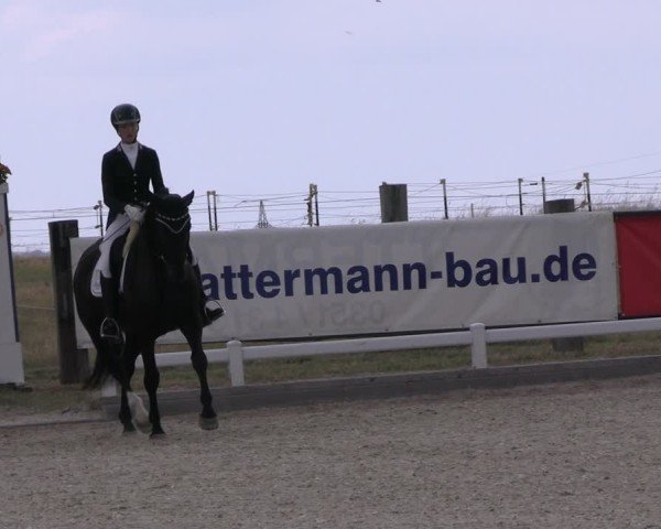Reitturnier Dresden Gompitz 2025