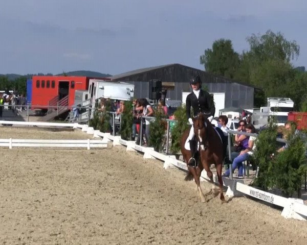 Großes Reit- und Springturnier Bühren-Breckerfeld 2014
