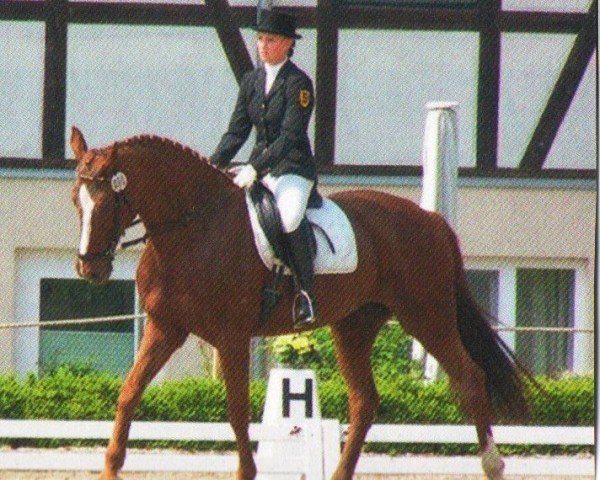 horse Lisl (Württemberger, 1997, from Lenys Lemon)