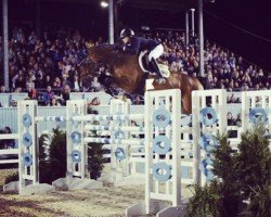 jumper Chanel B 2 (Mecklenburg, 2005, from Cellestial)