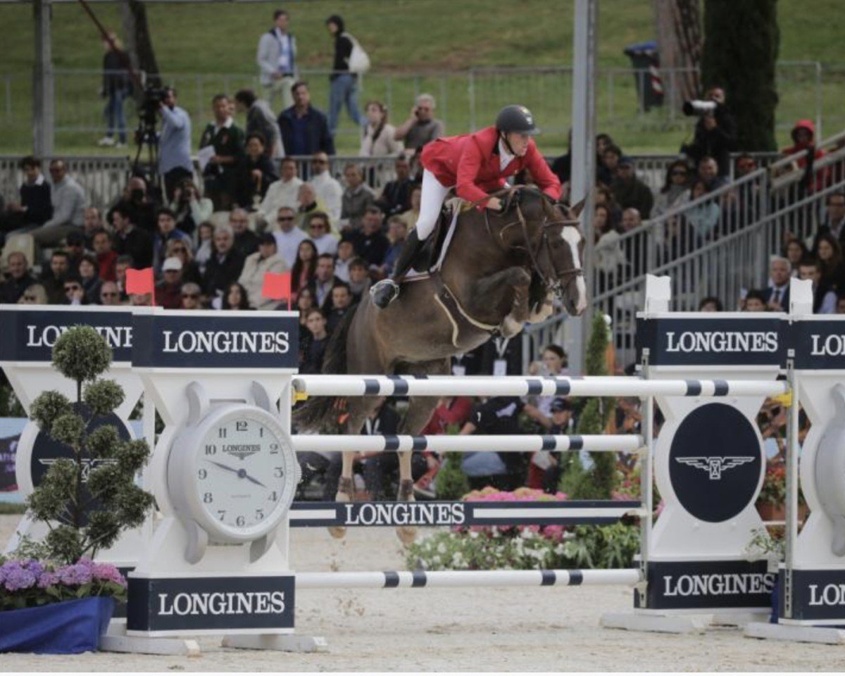 Deckhengst Echo van het Spieveld (Belgisches Warmblut, 2004, von Heartbreaker)
