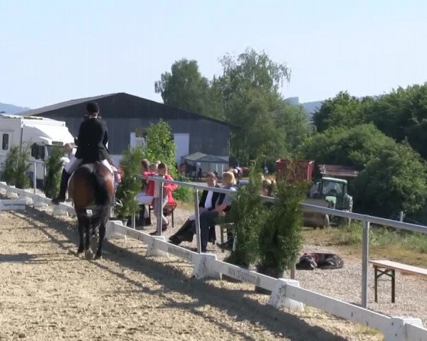 Großes Reit- und Springturnier Bühren-Breckerfeld 2014
