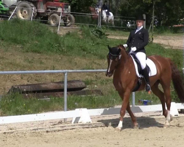 Großes Reit- und Springturnier Bühren-Breckerfeld 2014