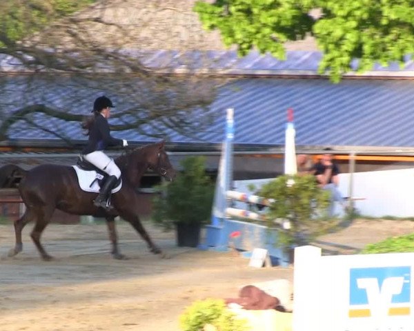 Großes Reit- und Springturnier Bühren-Breckerfeld 2014