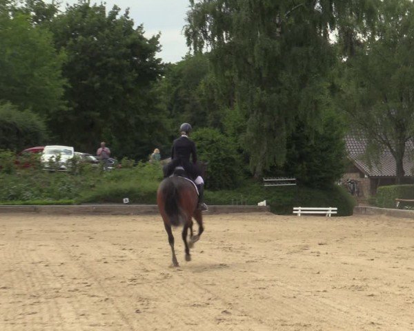 Reitturnier Schwerte-Gut Kückshausen 2025